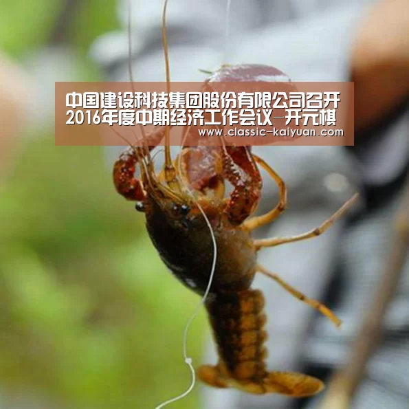 中国建设科技集团股份有限公司召开2016年度中期经济工作会议-开元棋牌(图2) 开元棋牌